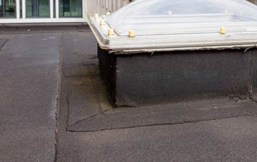 disadvantages of Bellarena flat roofs
